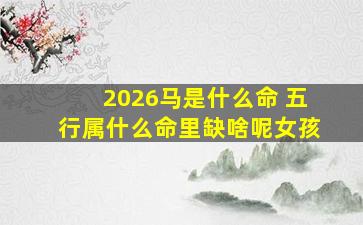 2026马是什么命 五行属什么命里缺啥呢女孩